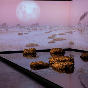 James Darling & Lesley Forwood’s 'Living Rocks: A Fragment of the Universe' at Hugo Michell Gallery, 2018