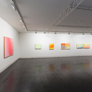 James Dodd’s ‘Pigment High’ at Hugo Michell Gallery, 2015