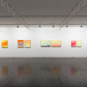 James Dodd’s ‘Pigment High’ at Hugo Michell Gallery, 2015