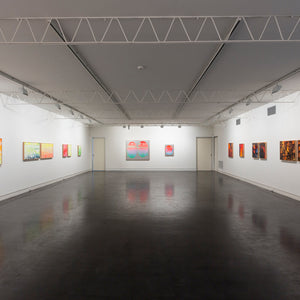 James Dodd’s ‘Pigment High’ at Hugo Michell Gallery, 2015