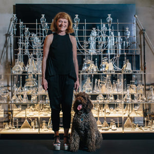 Janet Laurence’s ‘H2O: Water Bar’ in Paddington Reservoir Gardens, 2016. Photography by Nikki To
