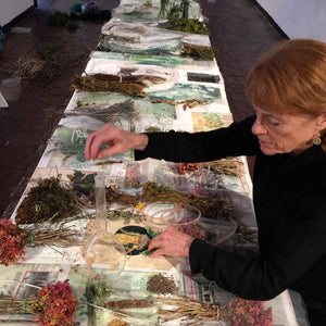 Janet Laurence’s ‘Fragil’ at Cuenco Biennale Ecuador, 2016