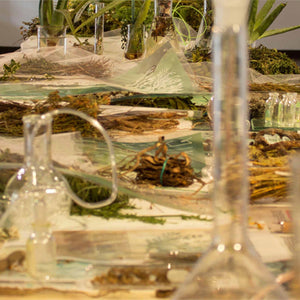 Janet Laurence’s ‘Fragil’ at Cuenco Biennale Ecuador, 2016