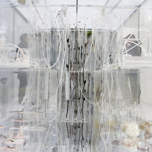 Janet Lawrence, Waiting: A Medicinal Garden for Ailing Plants, 2010, Australian native plants, laboratory glass, blown glass, steel, horticultural mesh, acrylic, salt, amethyst, medical silicon tubing, water and various fluids, ink-jet prints and screen prints on acrylic, water crystals, tulle, carbon, sulphur, various plant seeds, charred wood and plants, water pumps and ash, installation dimensions variable, at the Royal Botanic Gardens, Sydney for the Sydney Biennale 2010