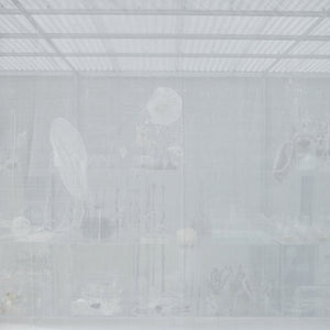 Janet Lawrence, Waiting: A Medicinal Garden for Ailing Plants, 2010, Australian native plants, laboratory glass, blown glass, steel, horticultural mesh, acrylic, salt, amethyst, medical silicon tubing, water and various fluids, ink-jet prints and screen prints on acrylic, water crystals, tulle, carbon, sulphur, various plant seeds, charred wood and plants, water pumps and ash, installation dimensions variable, at the Royal Botanic Gardens, Sydney for the Sydney Biennale 2010