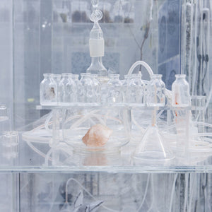 Janet Lawrence, Waiting: A Medicinal Garden for Ailing Plants, 2010, Australian native plants, laboratory glass, blown glass, steel, horticultural mesh, acrylic, salt, amethyst, medical silicon tubing, water and various fluids, ink-jet prints and screen prints on acrylic, water crystals, tulle, carbon, sulphur, various plant seeds, charred wood and plants, water pumps and ash, installation dimensions variable, at the Royal Botanic Gardens, Sydney for the Sydney Biennale 2010