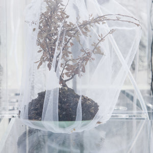 Janet Lawrence, Waiting: A Medicinal Garden for Ailing Plants, 2010, Australian native plants, laboratory glass, blown glass, steel, horticultural mesh, acrylic, salt, amethyst, medical silicon tubing, water and various fluids, ink-jet prints and screen prints on acrylic, water crystals, tulle, carbon, sulphur, various plant seeds, charred wood and plants, water pumps and ash, installation dimensions variable, at the Royal Botanic Gardens, Sydney for the Sydney Biennale 2010
