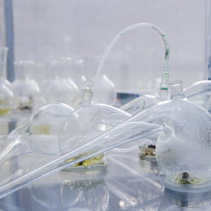 Janet Lawrence, Waiting: A Medicinal Garden for Ailing Plants, 2010, Australian native plants, laboratory glass, blown glass, steel, horticultural mesh, acrylic, salt, amethyst, medical silicon tubing, water and various fluids, ink-jet prints and screen prints on acrylic, water crystals, tulle, carbon, sulphur, various plant seeds, charred wood and plants, water pumps and ash, installation dimensions variable, at the Royal Botanic Gardens, Sydney for the Sydney Biennale 2010