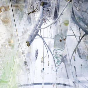 Janet Lawrence, Waiting: A Medicinal Garden for Ailing Plants, 2010, Australian native plants, laboratory glass, blown glass, steel, horticultural mesh, acrylic, salt, amethyst, medical silicon tubing, water and various fluids, ink-jet prints and screen prints on acrylic, water crystals, tulle, carbon, sulphur, various plant seeds, charred wood and plants, water pumps and ash, installation dimensions variable, at the Royal Botanic Gardens, Sydney for the Sydney Biennale 2010
