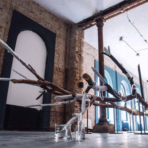 Janet Laurence’s ‘Underlying’ in the Belgrade October Salon: The Pleasure of Love