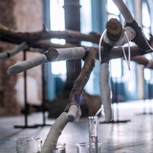 Janet Laurence’s ‘Underlying’ in the Belgrade October Salon: The Pleasure of Love