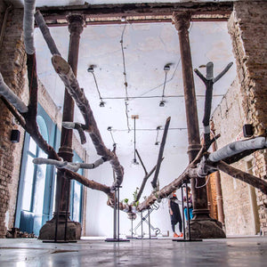 Janet Laurence’s ‘Underlying’ in the Belgrade October Salon: The Pleasure of Love