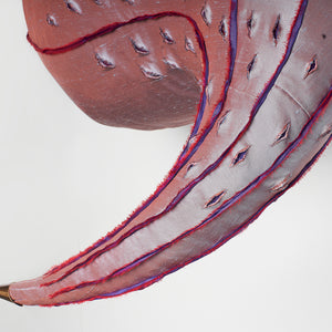Julia Robinson, Ruddy Tuft (detail), 2018, silk, thread, plating, brass, steel, and other mixed media, 80 x 90 x 60 cm app irreg