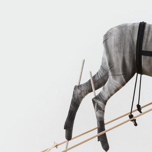 Julia Robinson 'One to rot and One to grow' Artist Monograph