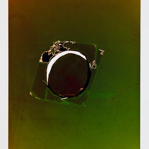 Justine Varga, Cerebration, 2015-16 from Memoire, c type photograph ,106.5 x 87.5 cm, ed. of 5