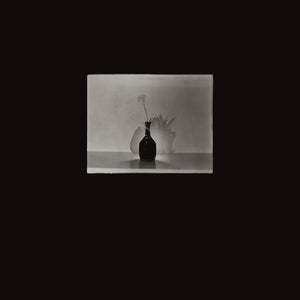Justine Varga, Still life #5, 2011, silver gelatin photograph, 40.6 x 30.5 cm, ed. of 3