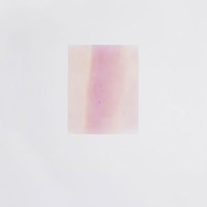 Justine Varga, Vinegar, 2011, type C photograph, 40.6 x 30.5 cm, ed. of 3