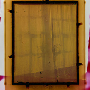 Justine Varga, Lattice #6, 2017-18, from Areola, chromogenic photograph, 165.5 x 127 cm, unique