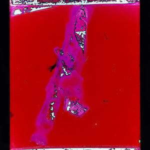 Justine Varga, Antidote, 2016 from Memoire, c type photograph, 143 x 109.6 cm, ed. of 5