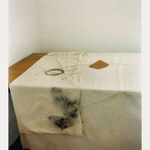 Justine Varga, Still Life #13, 2014, type C photograph, 23 x 18.2 cm, ed. of 6
