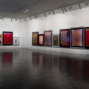 Justine Varga’s ‘Memoire’ at Hugo Michell Gallery, 2016