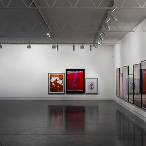 Justine Varga’s ‘Memoire’ at Hugo Michell Gallery, 2016