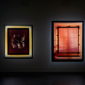 Justine Varga’s ‘Areola’ at Hugo Michell Gallery, 2019