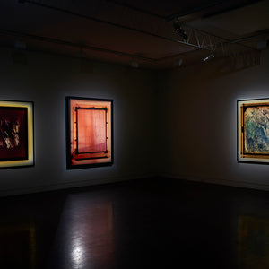 Justine Varga’s ‘Areola’ at Hugo Michell Gallery, 2019