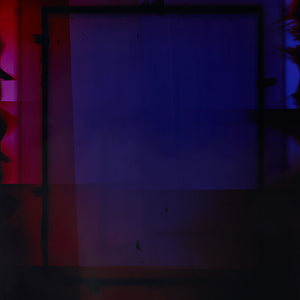 Justine Varga, Lattice #8, 2017-18, from Areola, chromogenic photograph, 165.5 x 127 cm, unique