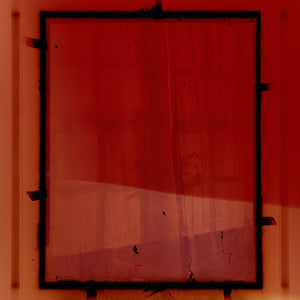 Justine Varga, Lattice #9, 2017-18, from Areola, chromogenic photograph, 165.5 x 127 cm, unique