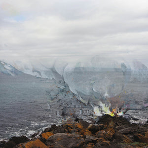 Laura Wills and James Tylor, Thick Landscape, Kangaroo Island, 2021, pastel, pencil and pigment ink on paper, 138 x 112 cm