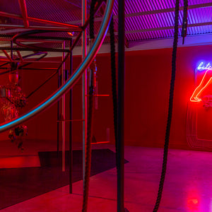 Min Wong’s ‘Lone Wolf’ at Cement Fondu alongside work by Shana Moulton, 2022. Photography by Jessica Maurer