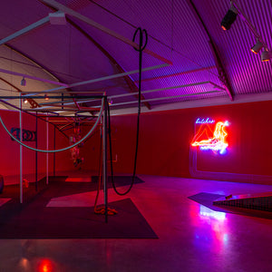 Min Wong’s ‘Lone Wolf’ at Cement Fondu alongside work by Shana Moulton, 2022. Photography by Jessica Maurer