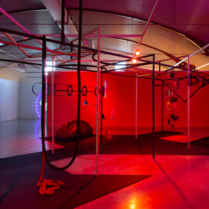 Min Wong’s ‘Lone Wolf’ at Cement Fondu alongside work by Shana Moulton, 2022. Photography by Jessica Maurer