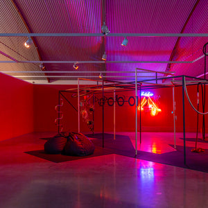 Min Wong’s ‘Lone Wolf’ at Cement Fondu alongside work by Shana Moulton, 2022. Photography by Jessica Maurer