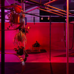 Min Wong’s ‘Lone Wolf’ at Cement Fondu alongside work by Shana Moulton, 2022. Photography by Jessica Maurer