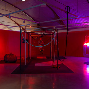 Min Wong’s ‘Lone Wolf’ at Cement Fondu alongside work by Shana Moulton, 2022. Photography by Jessica Maurer