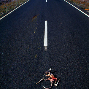 Narelle Autio, Joey, 2002-15, from Indifference, pigment print, 60.5 x 42 cm, ed. of 6