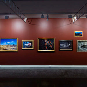 Narelle Autio’s ‘Indifference’ at Hugo Michell Gallery, 2015