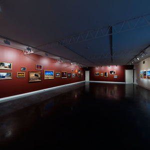Narelle Autio’s ‘Indifference’ at Hugo Michell Gallery, 2015