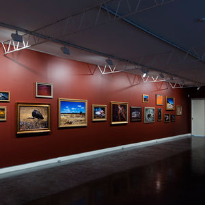 Narelle Autio’s ‘Indifference’ at Hugo Michell Gallery, 2015