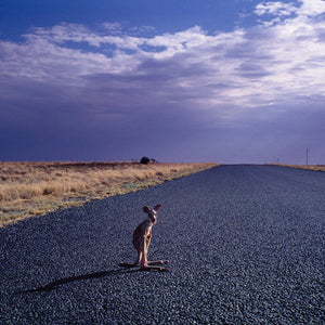 Narelle Autio, Foundling, 2004, from To the Sea, pigment print, 98 x 144 cm, ed. of 6
