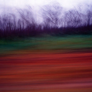 Narelle Autio, Road to Cape Leveque, 2003-13, from To the Sea, pigment print, 67 x 98 cm, ed. of 6