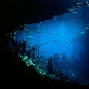 Narelle Autio, Untitled #11, 2012, from Waterhole, type C print, 82 x 120 cm