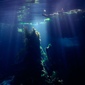 Narelle Autio, Untitled #14, 2012, from Waterhole, type C print, 82 x 120 cm