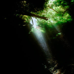 Narelle Autio, Untitled #19, 2012, from Waterhole, type C print, 82 x 120 cm