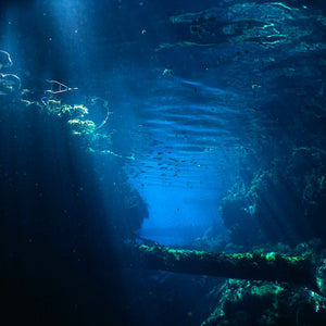 Narelle Autio, Untitled #1, 2012, from Waterhole, type C print, 82 x 120 cm