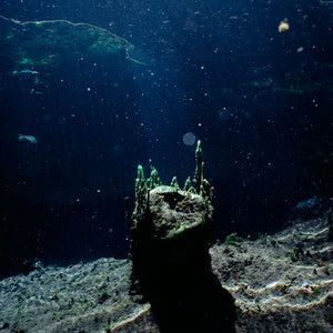 Narelle Autio, Untitled #20, 2012, from Waterhole, type C print, 82 x 120 cm