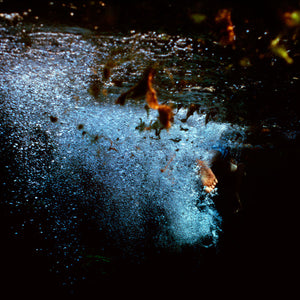 Narelle Autio, Untitled #28, 2012, from Waterhole, type C print, 45 x 34 cm