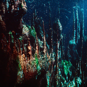 Narelle Autio, Untitled #2, 2012, from Waterhole, type C print, 82 x 120 cm